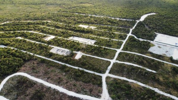 Land Search Service